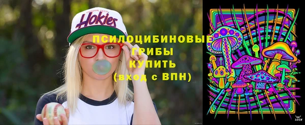 стафф Вяземский